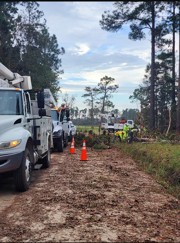 Certified arborists clear an area next to a road with professional tools and techniques.