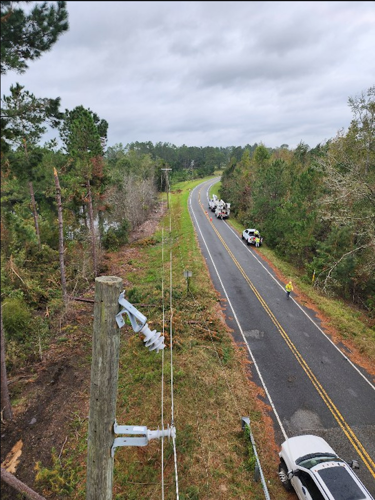 Tree service underay for a side of a country highway.